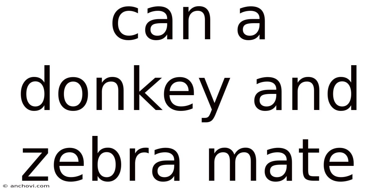 Can A Donkey And Zebra Mate