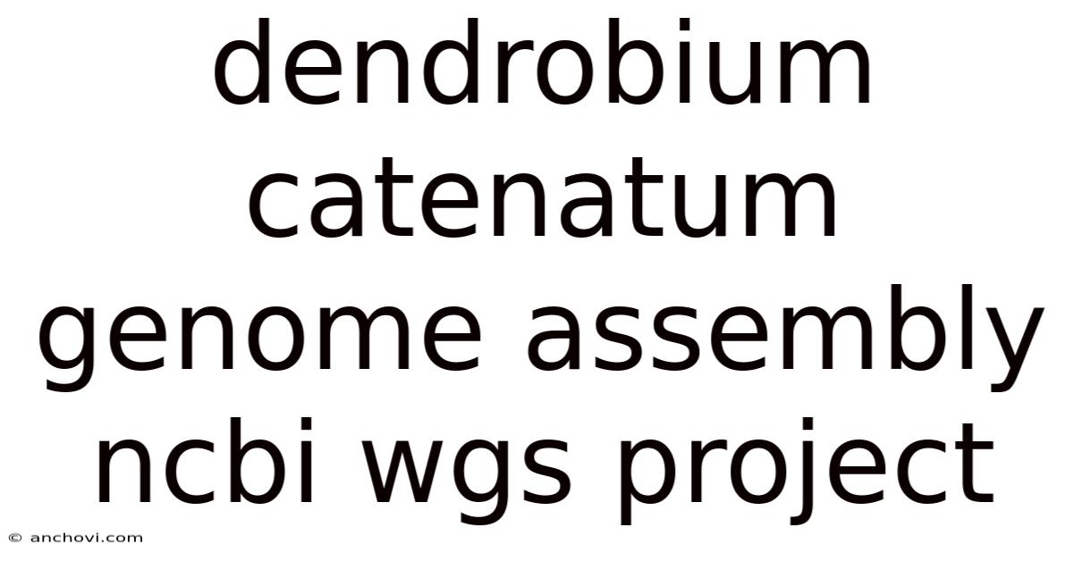 Dendrobium Catenatum Genome Assembly Ncbi Wgs Project