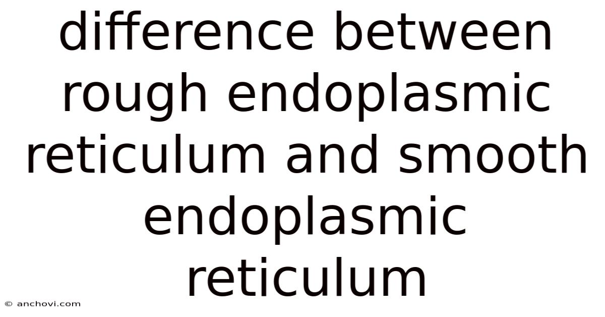 Difference Between Rough Endoplasmic Reticulum And Smooth Endoplasmic Reticulum