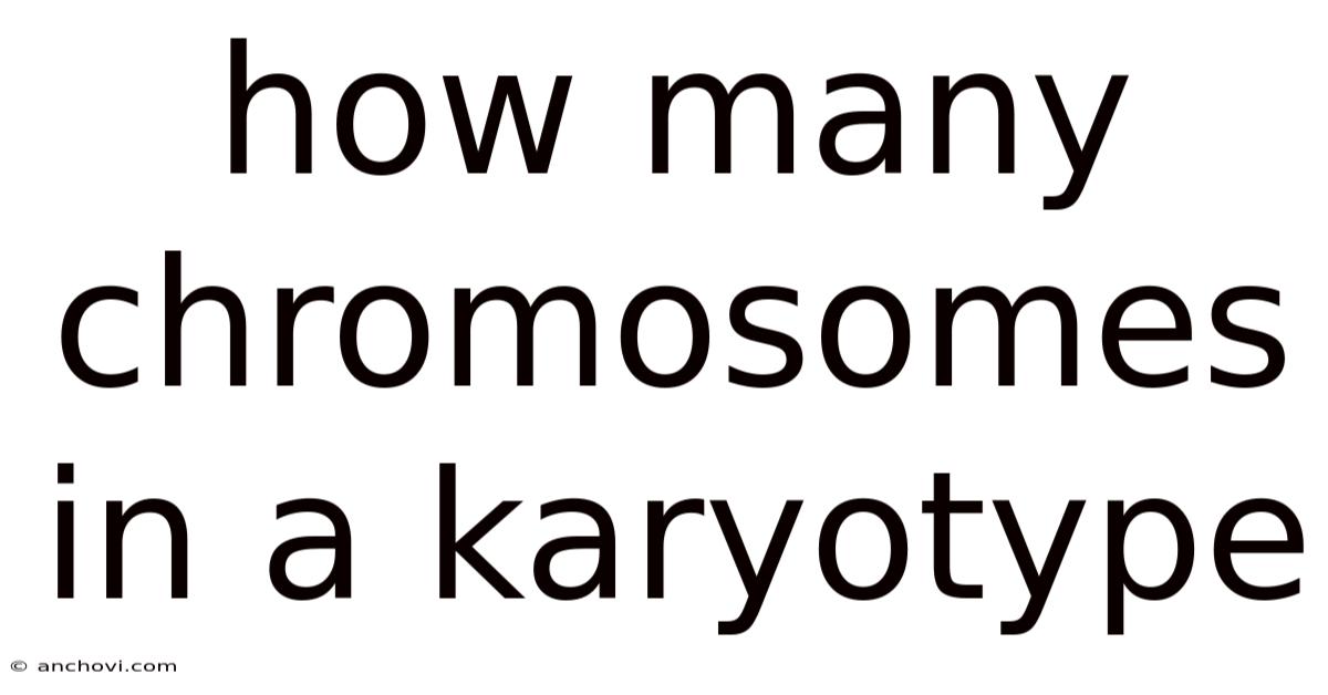 How Many Chromosomes In A Karyotype