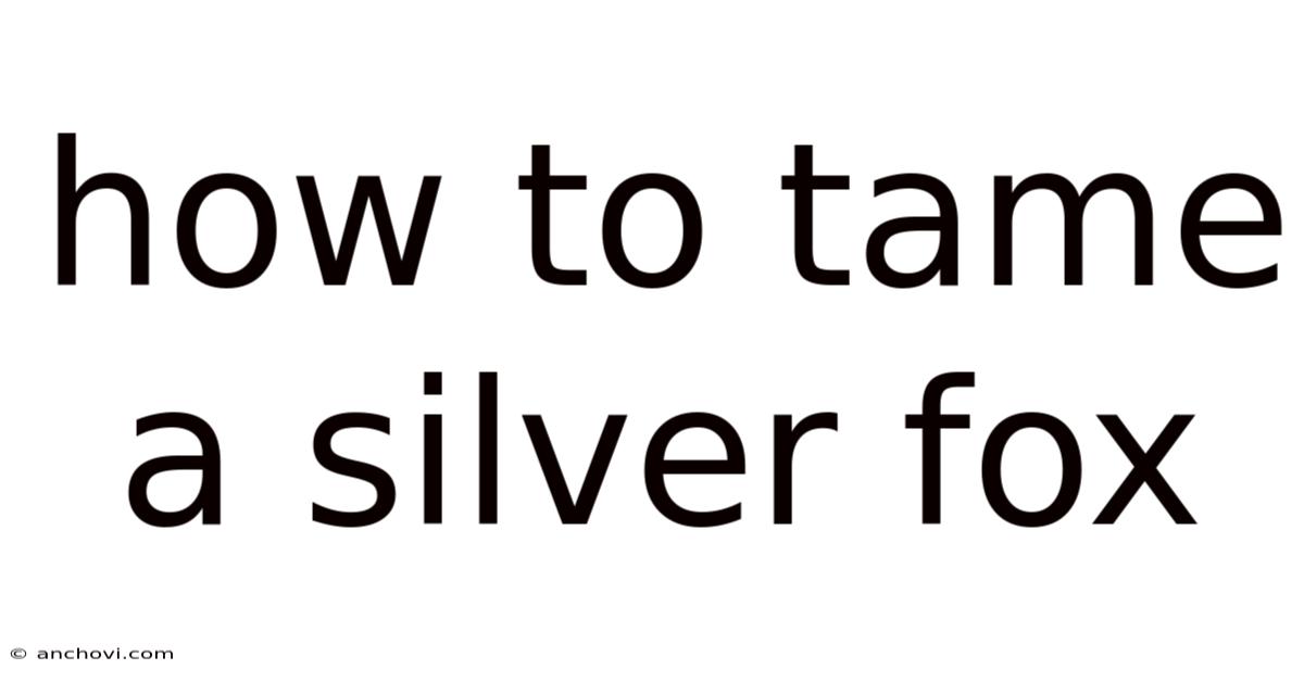 How To Tame A Silver Fox