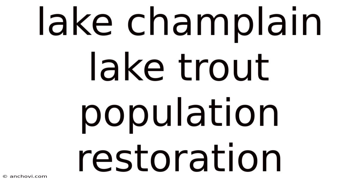 Lake Champlain Lake Trout Population Restoration