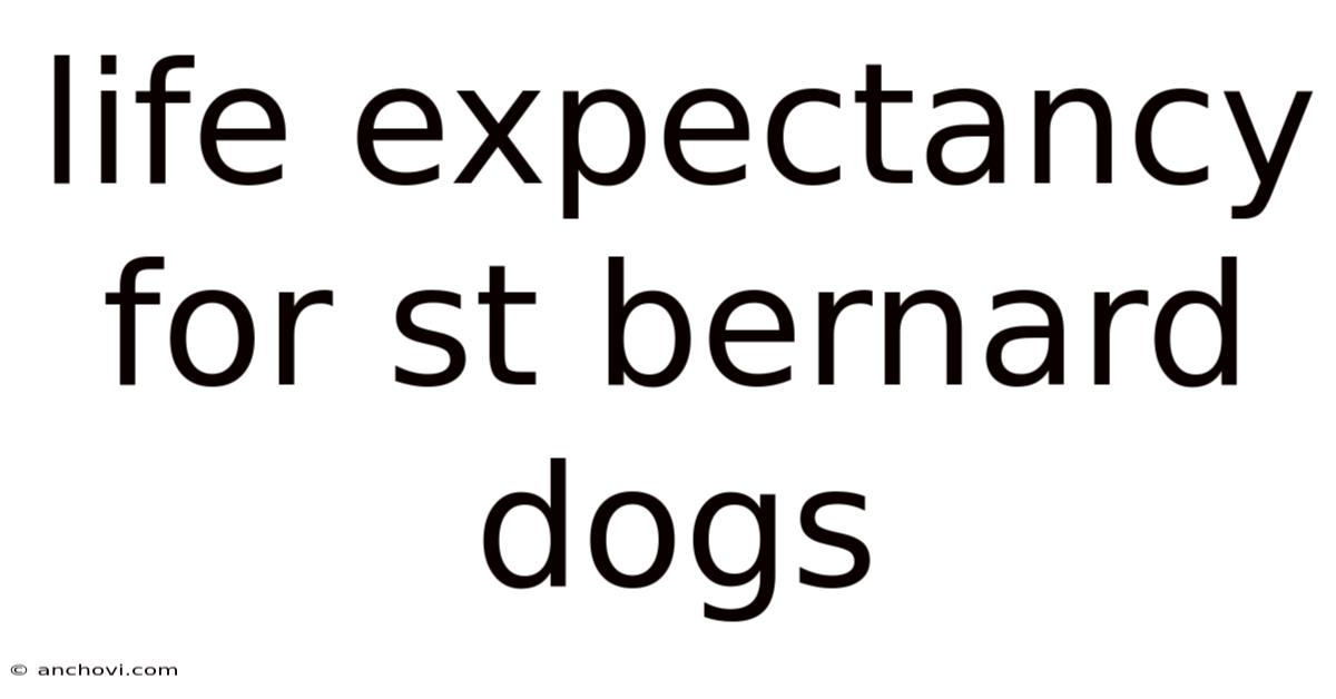 Life Expectancy For St Bernard Dogs