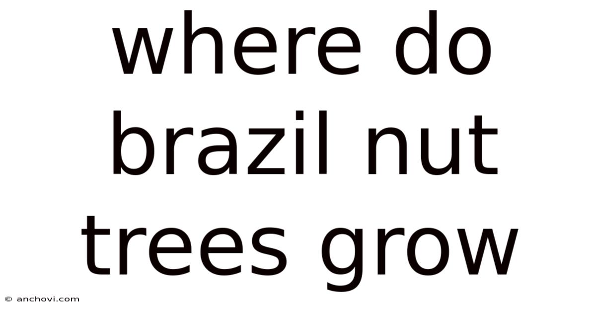 Where Do Brazil Nut Trees Grow